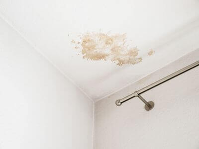 About Louisville KY Mold Remediation Pros - mold remediation experts in Louisville