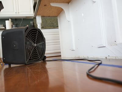 Professional mold remediation services in Louisville